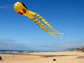 Oregon Kite Festival