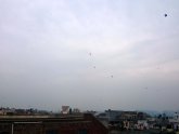 Photo of kites flying
