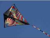 Pictures of Kites