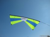 Revolution EXP Kite
