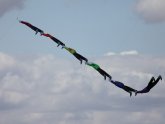 Royston Kite Festival
