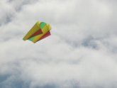 Types of Kites to make
