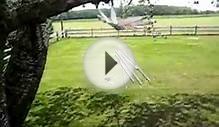 DragonFly Wind Chime