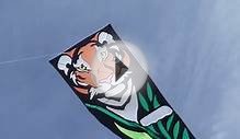 Flying Tiger kite