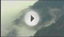 Flying Wings Kites -- Wala (Aerobe)