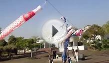 [Japan Culture] "Koinobori" Carp-shaped wind socks #3