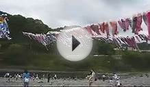 Japanese Carp Windsocks