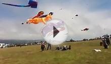 Japanese kite at kite festival