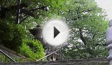 Japanese wind chimes - Ikegami Honmonji temple - 2013
