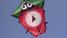 Kites for kids