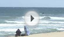 Malibu California Zuma Beach Birds and Kites