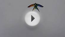 Martin Lester Rainbow Bird kite