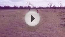 me and my sister flying our kite google photos