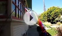 Rainbow Spinning Windsock