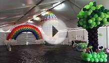 Timelapse of the Redcliffe Kite Festival Balloonarium